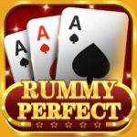 rummy perfect apps