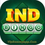 ind bingo apk